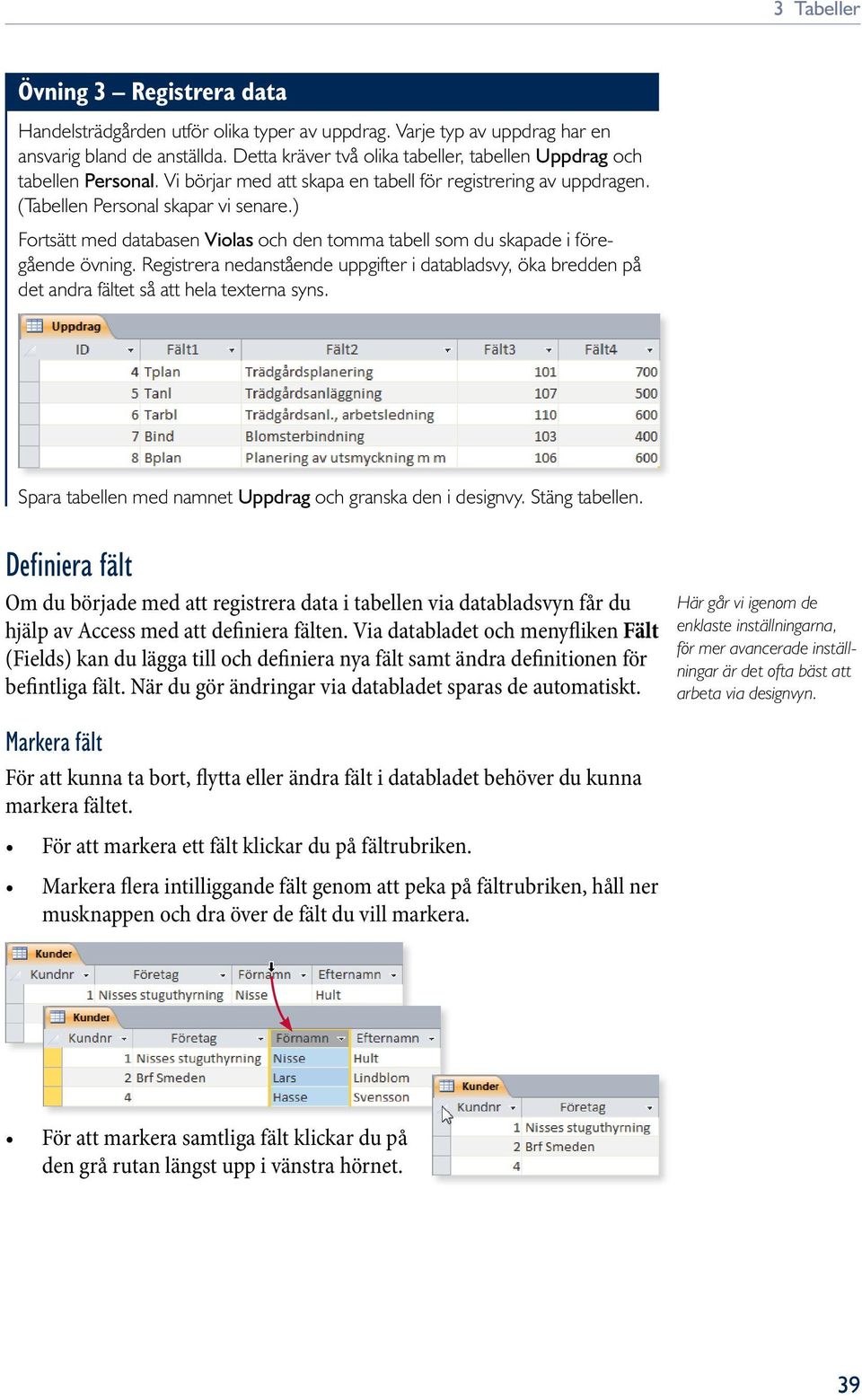 ) Fortsätt med databasen Violas och den tomma tabell som du skapade i föregående övning. Registrera nedanstående uppgifter i databladsvy, öka bredden på det andra fältet så att hela texterna syns.