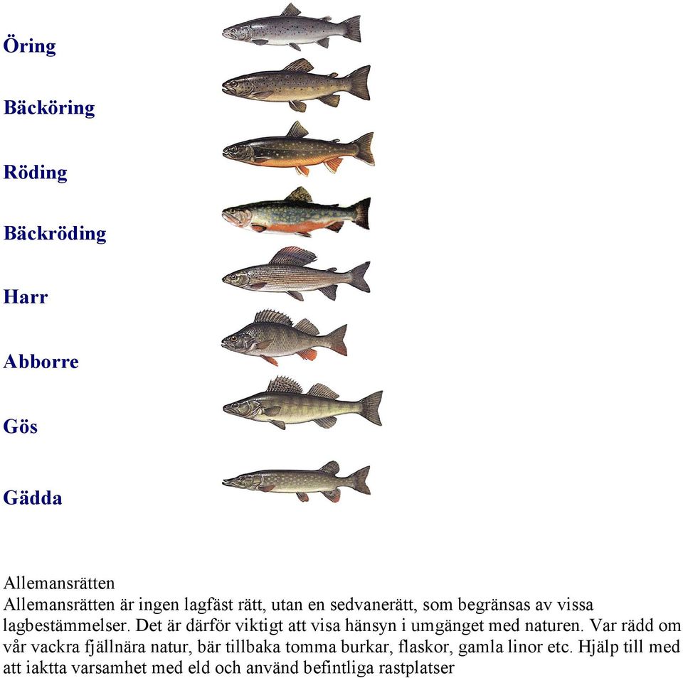 Det är därför viktigt att visa hänsyn i umgänget med naturen.