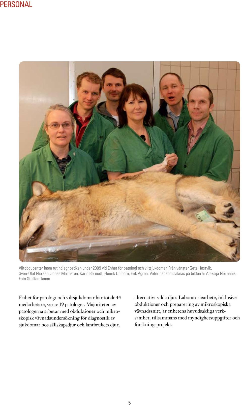 Foto Staffan Tamm Enhet för patologi och viltsjukdomar har totalt 44 medarbetare, varav 19 patologer.