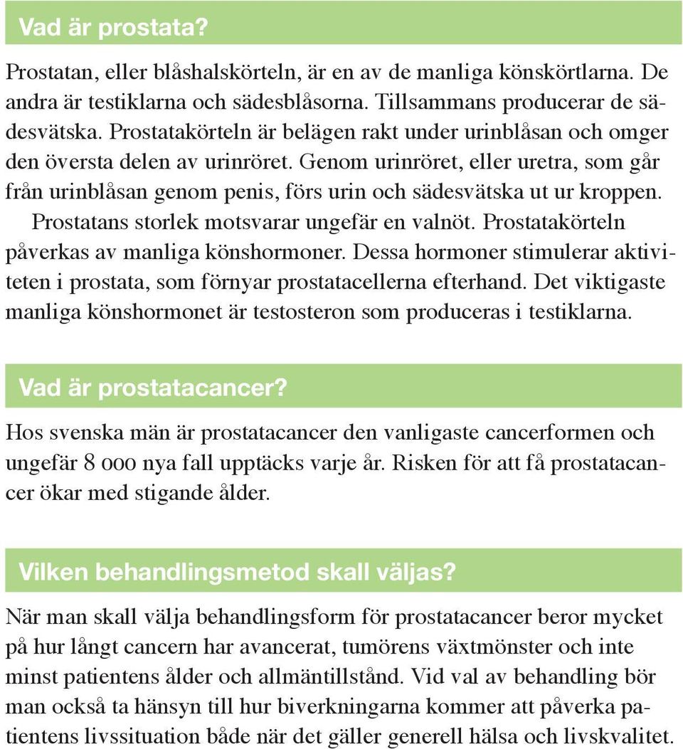 Prostatans storlek motsvarar ungefär en valnöt. Prostatakörteln påverkas av manliga könshormoner. Dessa hormoner stimulerar aktiviteten i prostata, som förnyar prostatacellerna efterhand.