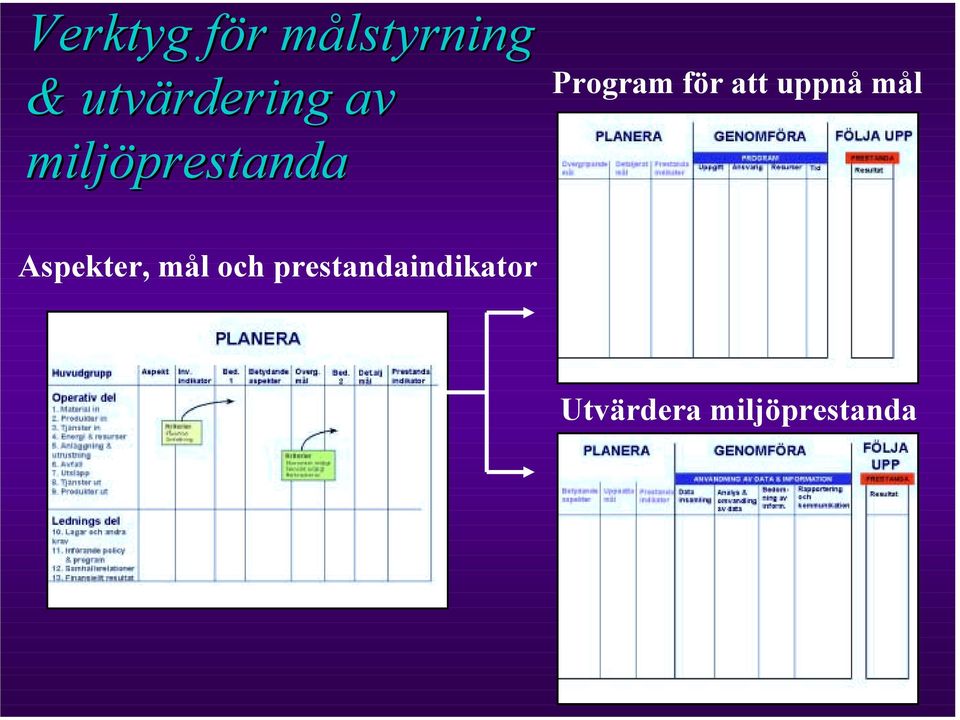 Program för att uppnå mål Aspekter,