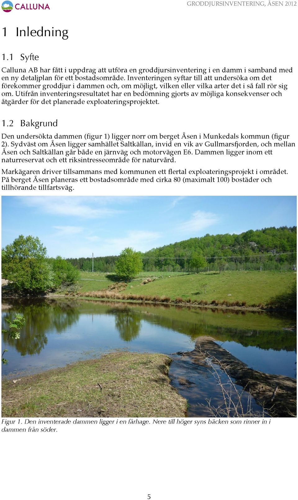 Utifrån inventeringsresultatet har en bedömning gjorts av möjliga konsekvenser och åtgärder för det planerade exploateringsprojektet. 1.