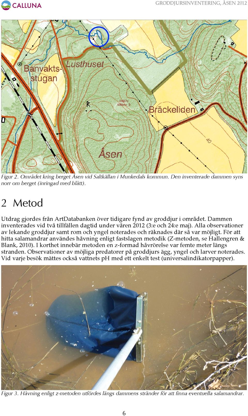 Alla observationer av lekande groddjur samt rom och yngel noterades och räknades där så var möjligt.