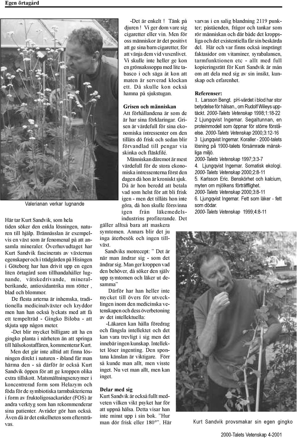 Överhuvudtaget har Kurt Sandvik fascinerats av växternas egenskaper och i trädgården på Hisingen i Göteborg har han drivit upp en egen liten örtagård som tillhandahåller lugnande, vätskedrivande,