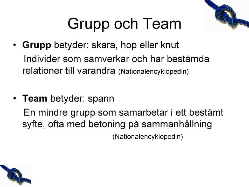 (Nationalencyklopedin) Team betyder: spann En mindre grupp som