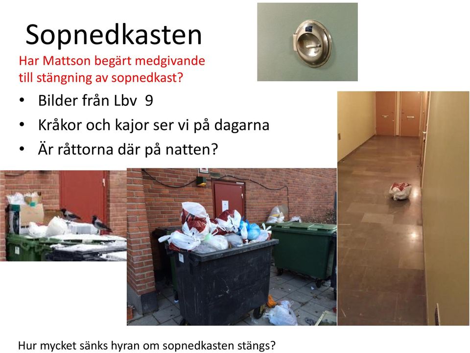 Bilder från Lbv 9 Kråkor och kajor ser vi på