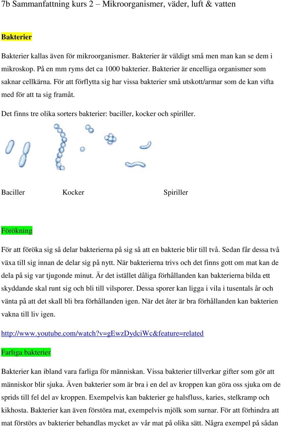 Det finns tre olika sorters bakterier: baciller, kocker och spiriller. Baciller Kocker Spiriller Förökning För att föröka sig så delar bakterierna på sig så att en bakterie blir till två.