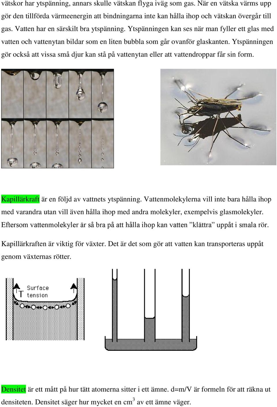 Ytspänningen gör också att vissa små djur kan stå på vattenytan eller att vattendroppar får sin form. Kapillärkraft är en följd av vattnets ytspänning.