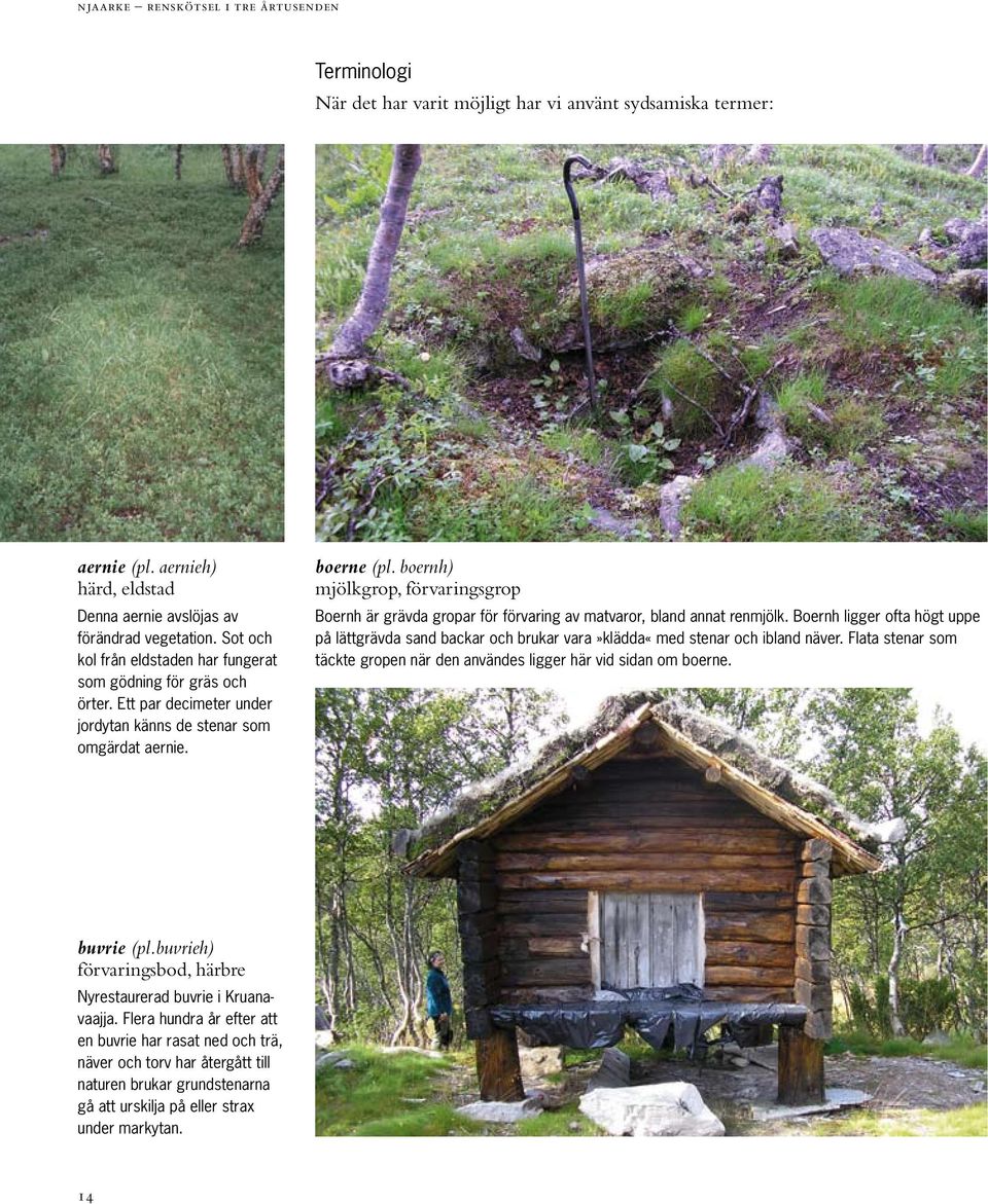 boernh) mjölkgrop, förvaringsgrop Boernh är grävda gropar för förvaring av matvaror, bland annat renmjölk.