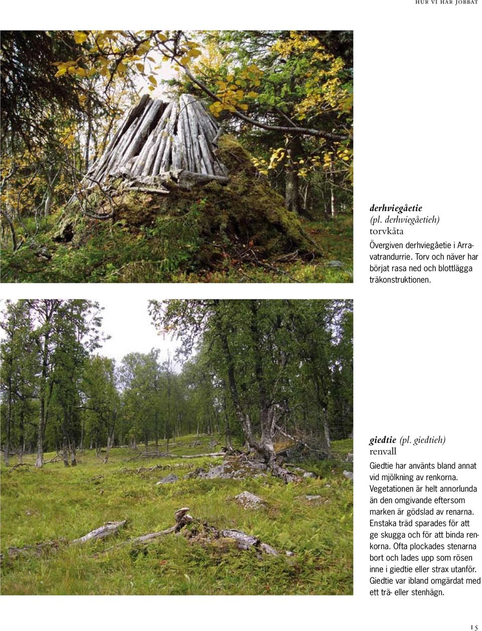 giedtieh) renvall Giedtie har använts bland annat vid mjölkning av renkorna.