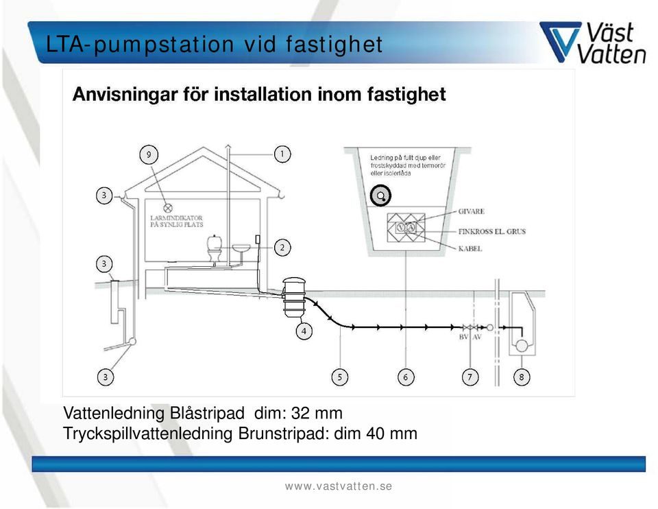 Blåstripad dim: 32 mm