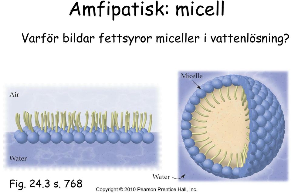 fettsyror miceller i