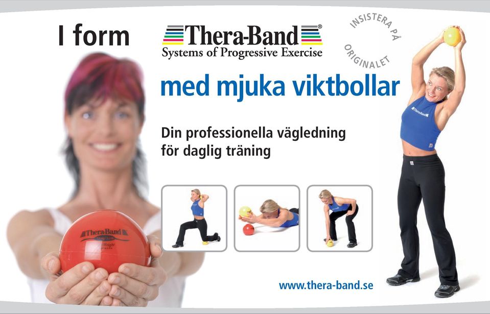 professionella vägledning för