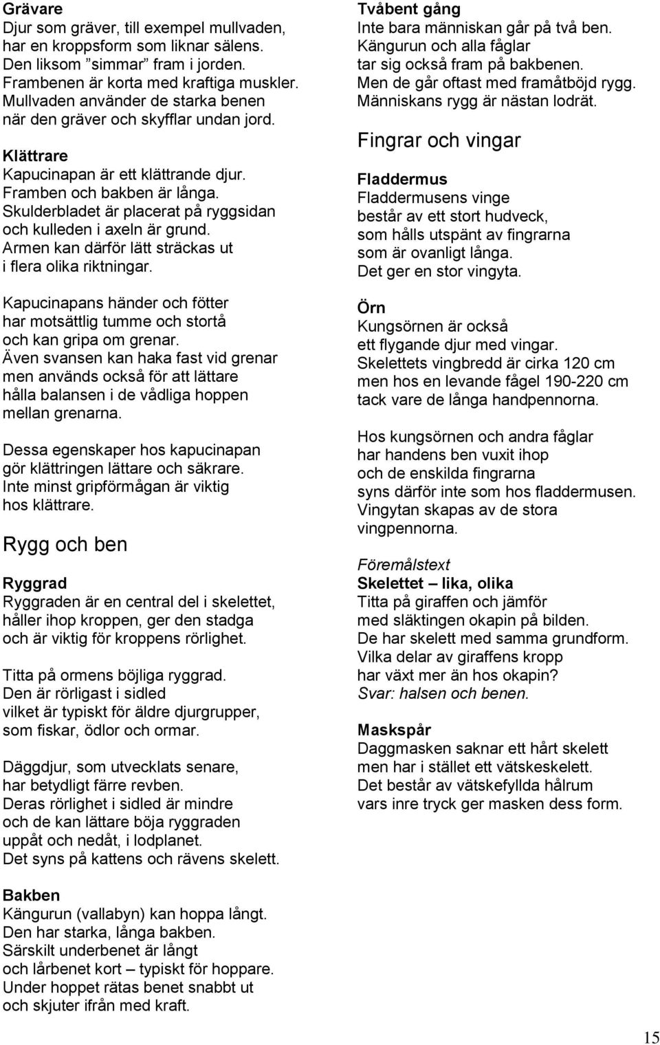 Skulderbladet är placerat på ryggsidan och kulleden i axeln är grund. Armen kan därför lätt sträckas ut i flera olika riktningar.