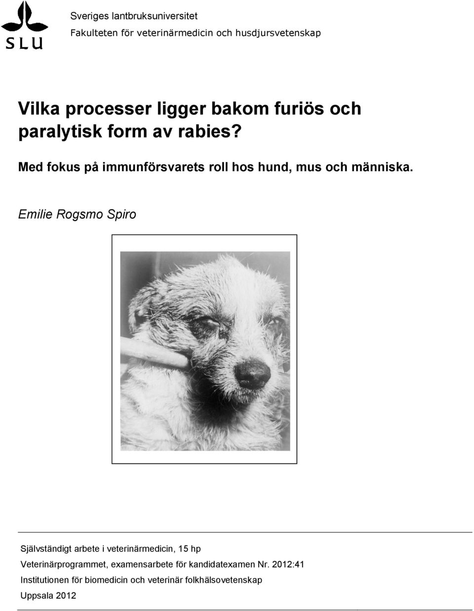 Med fokus på immunförsvarets roll hos hund, mus och människa.
