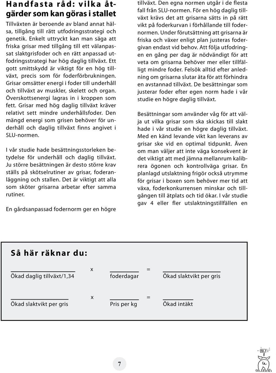 Ett gott smittskydd är viktigt för en hög tillväxt, precis som för foderförbrukningen. Grisar omsätter energi i foder till underhåll och tillväxt av muskler, skelett och organ.