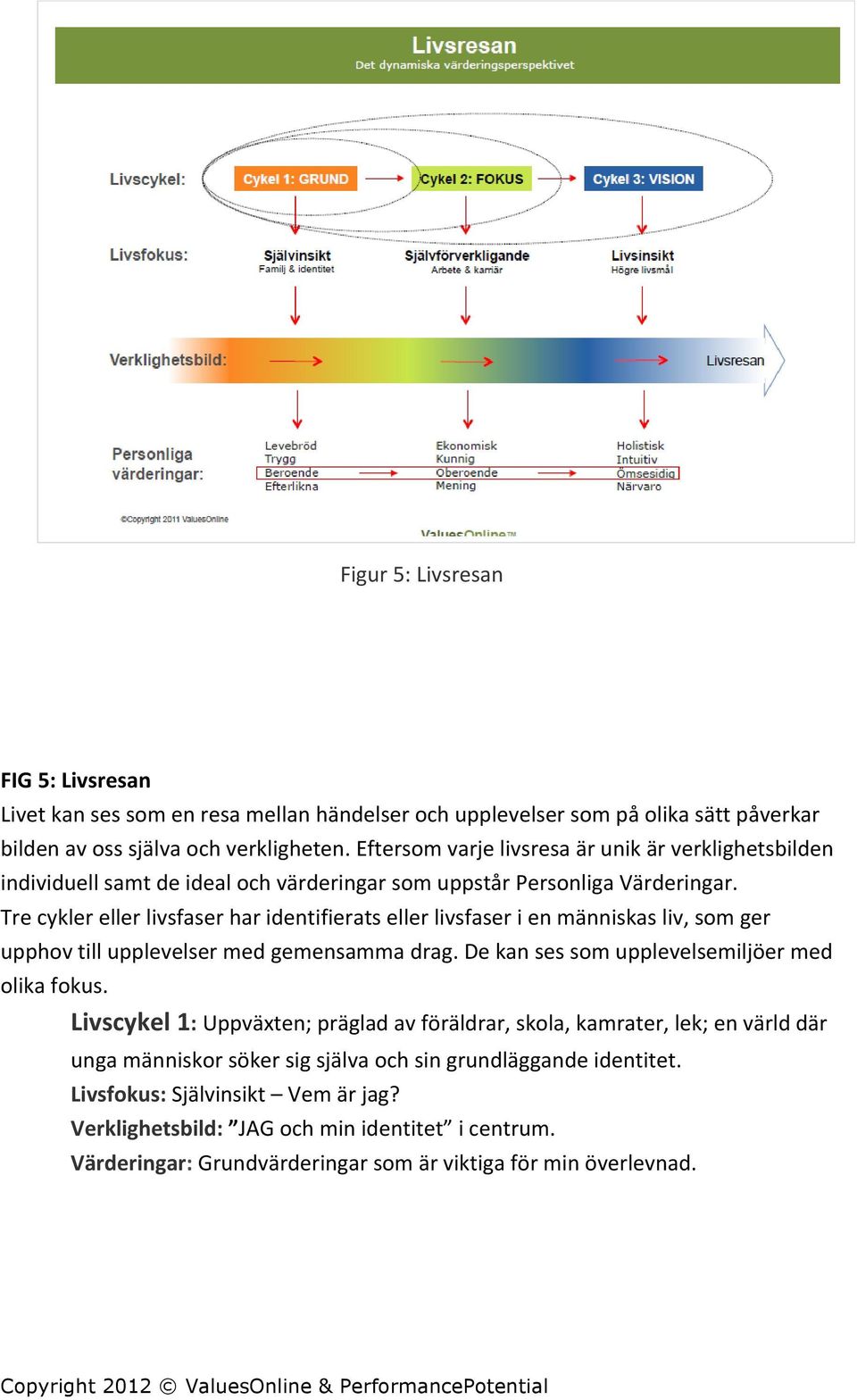 Tre cykler eller livsfaser har identifierats eller livsfaser i en människas liv, som ger upphov till upplevelser med gemensamma drag. De kan ses som upplevelsemiljöer med olika fokus.