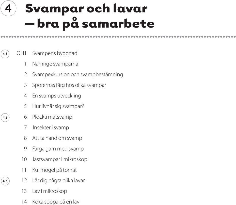 olika svampar 4 