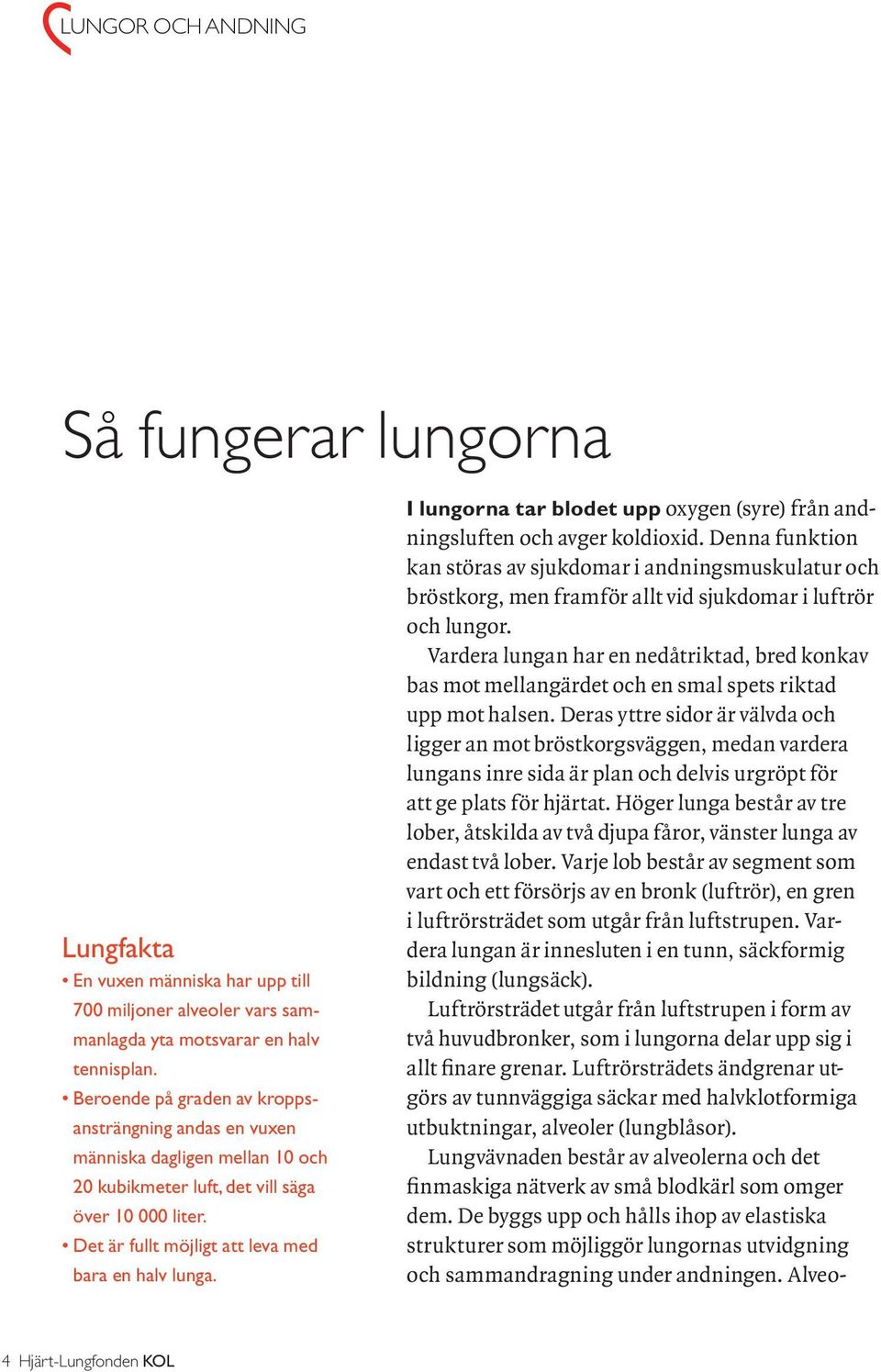 I lungorna tar blodet upp oxygen (syre) från andningsluften och avger koldioxid.