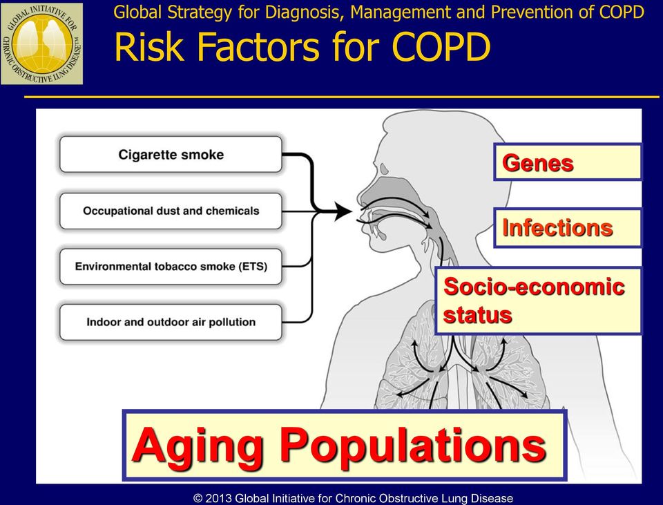 Infections Socio-economic status Aging Populations