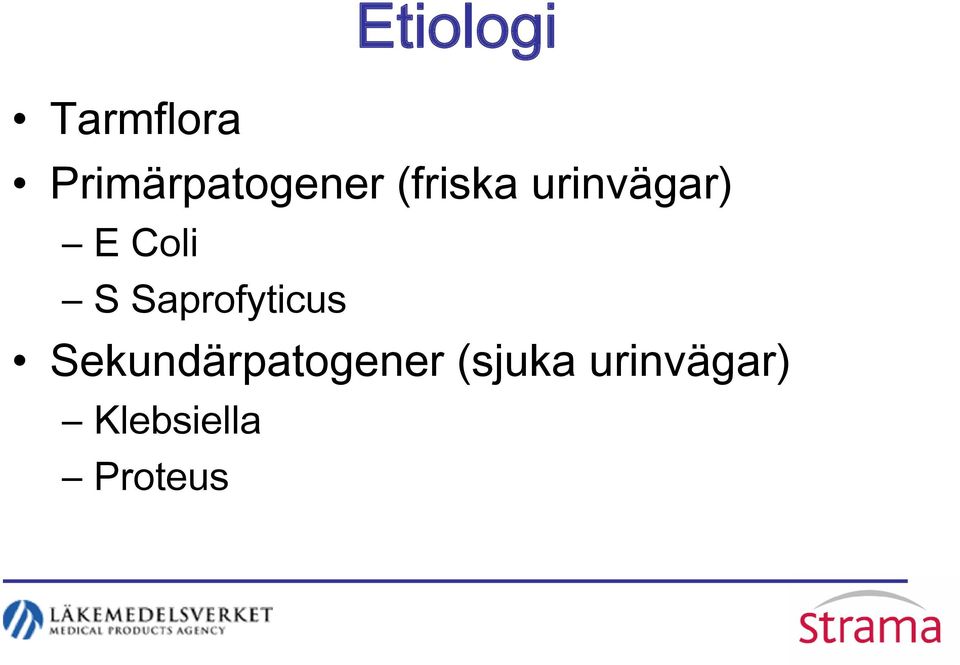 urinvägar) E Coli S Saprofyticus