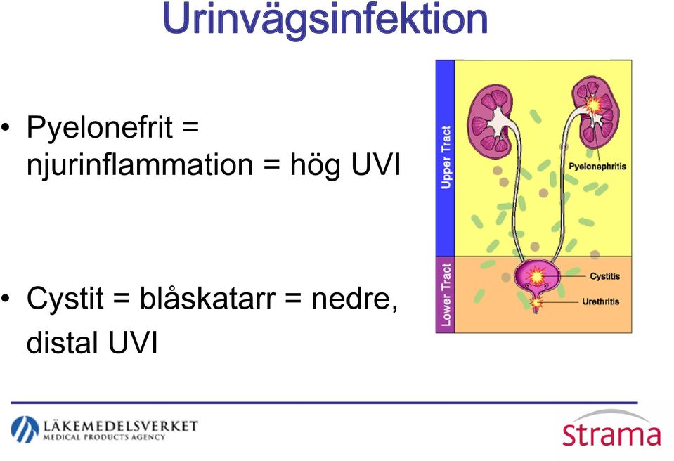 njurinflammation = hög