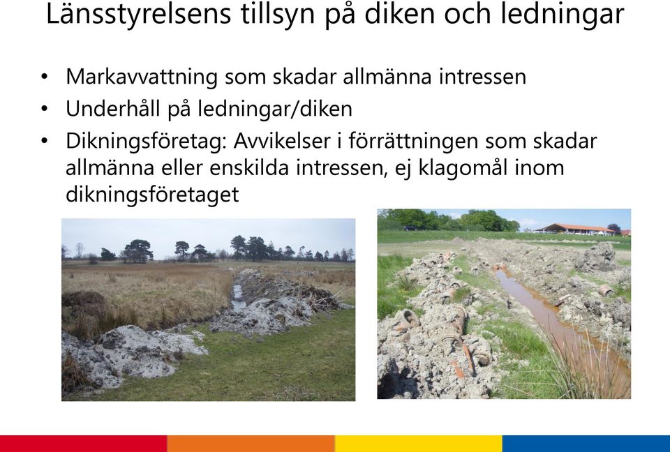 Dikningsföretag: Avvikelser i förrättningen som skadar