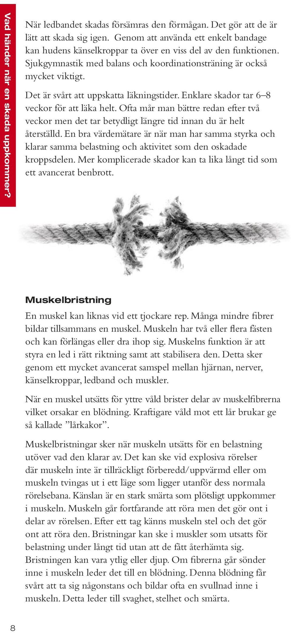 Det är svårt att uppskatta läkningstider. Enklare skador tar 6 8 veckor för att läka helt. Ofta mår man bättre redan efter två veckor men det tar betydligt längre tid innan du är helt återställd.