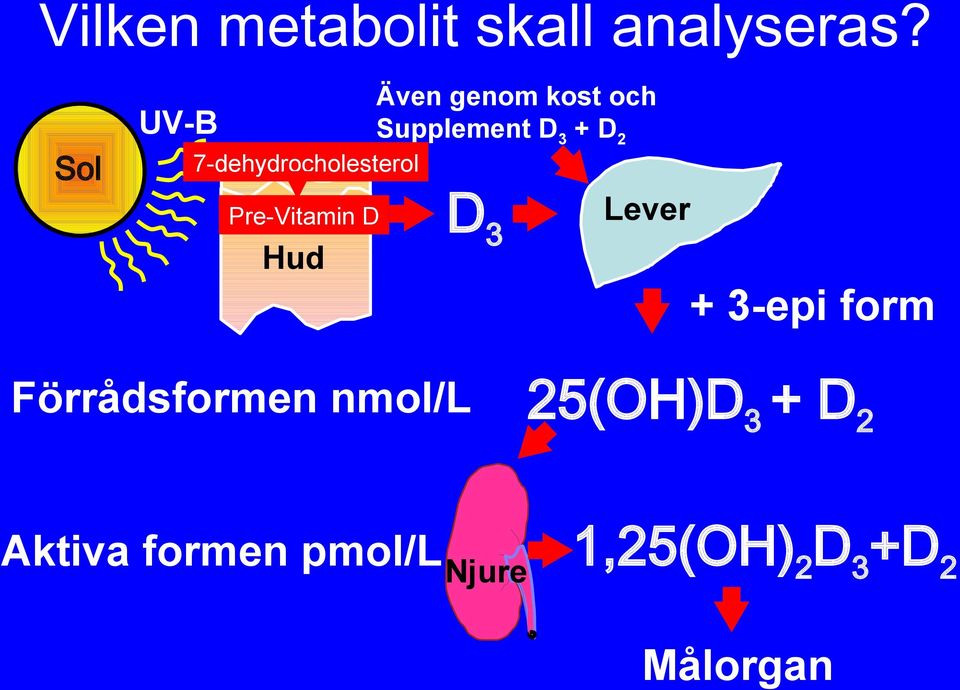 7-dehydrocholesterol Pre-Vitamin D Hud D3 Lever + 3-epi