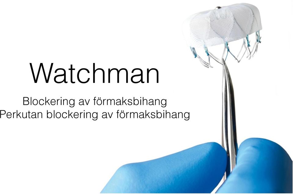 förmaksbihang