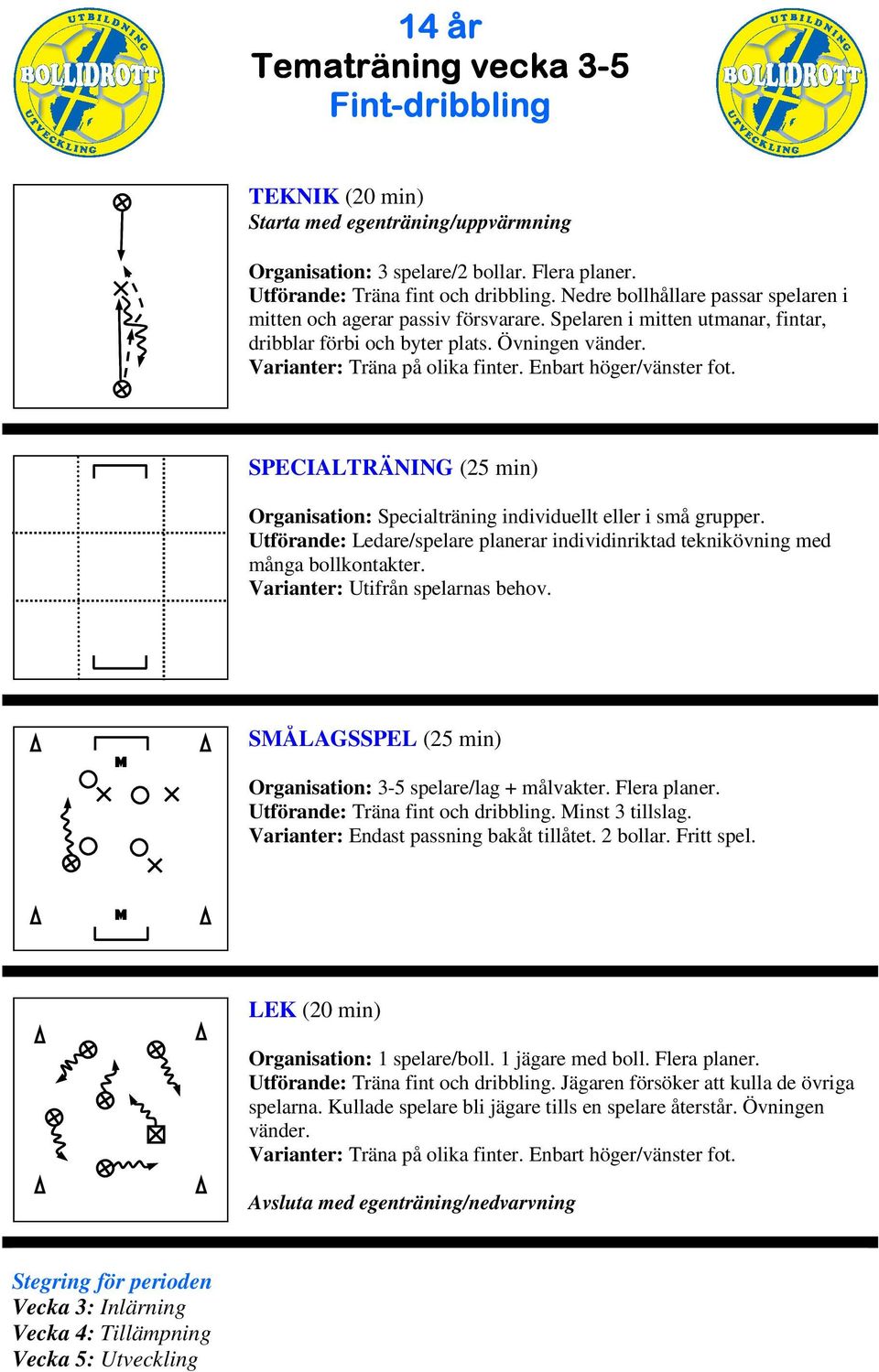 Enbart höger/vänster fot. Utförande: Ledare/spelare planerar individinriktad teknikövning med många bollkontakter. SÅLAGSSPEL (25 min) Organisation: 3-5 spelare/lag + målvakter. Flera planer.