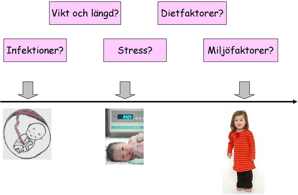 Vikt och längd?