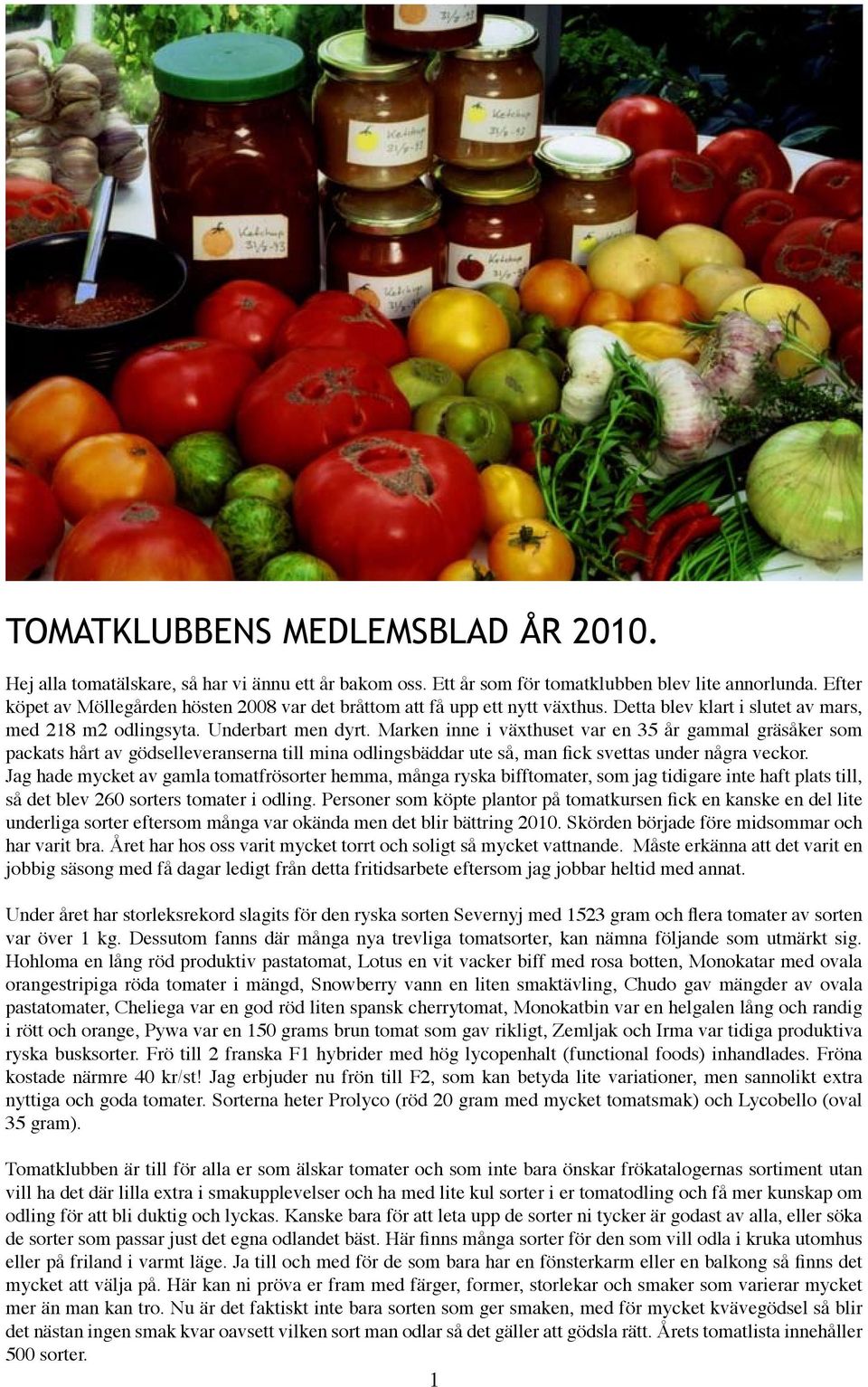 Marken inne i växthuset var en 35 år gammal gräsåker som packats hårt av gödselleveranserna till mina odlingsbäddar ute så, man fick svettas under några veckor.