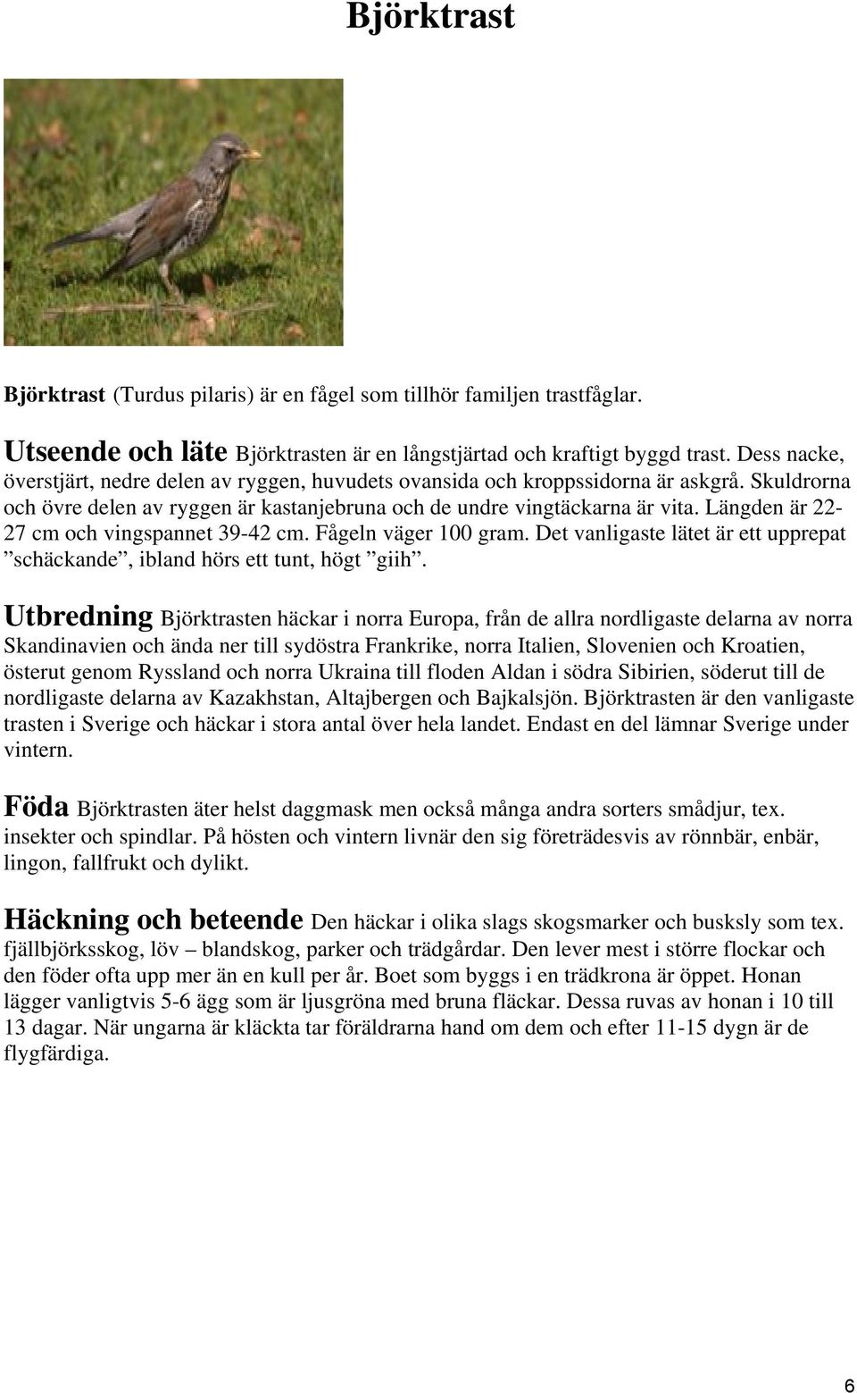 Längden är 22-27 cm och vingspannet 39-42 cm. Fågeln väger 100 gram. Det vanligaste lätet är ett upprepat schäckande, ibland hörs ett tunt, högt giih.