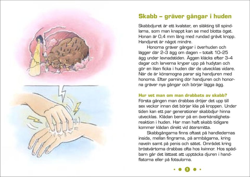 Äggen kläcks efter 3 4 dagar och larverna kryper upp på hudytan och gör en liten ficka i huden där de utvecklas vidare. När de är könsmogna parar sig handjuren med honorna.