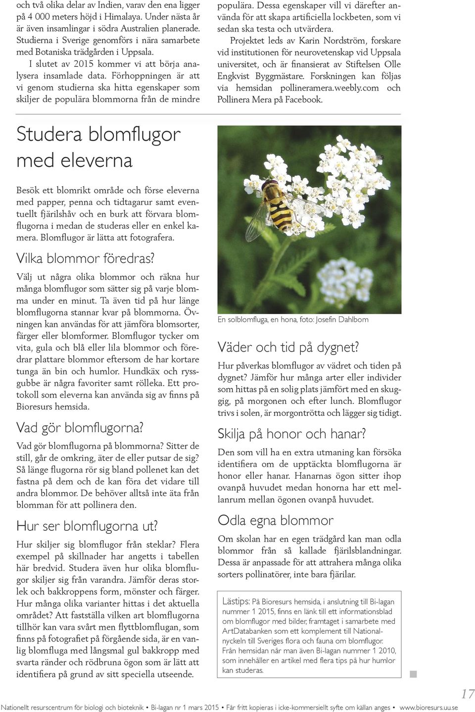 Förhoppningen är att vi genom studierna ska hitta egenskaper som skiljer de populära blommorna från de mindre populära.
