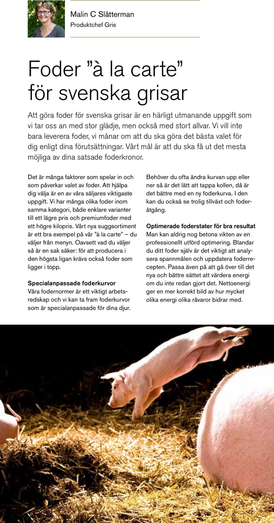Det är många faktorer som spelar in och som påverkar valet av foder. Att hjälpa dig välja är en av våra säljares viktigaste uppgift.