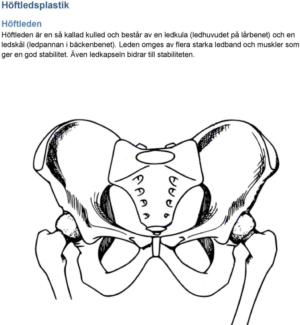 (ledpannan i bäckenbenet).