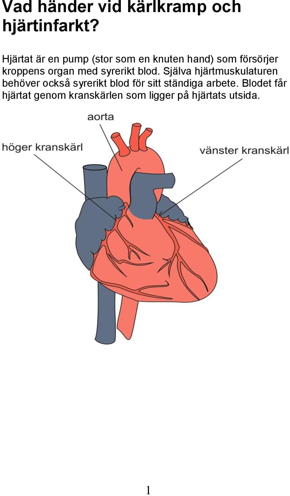organ med syrerikt blod.