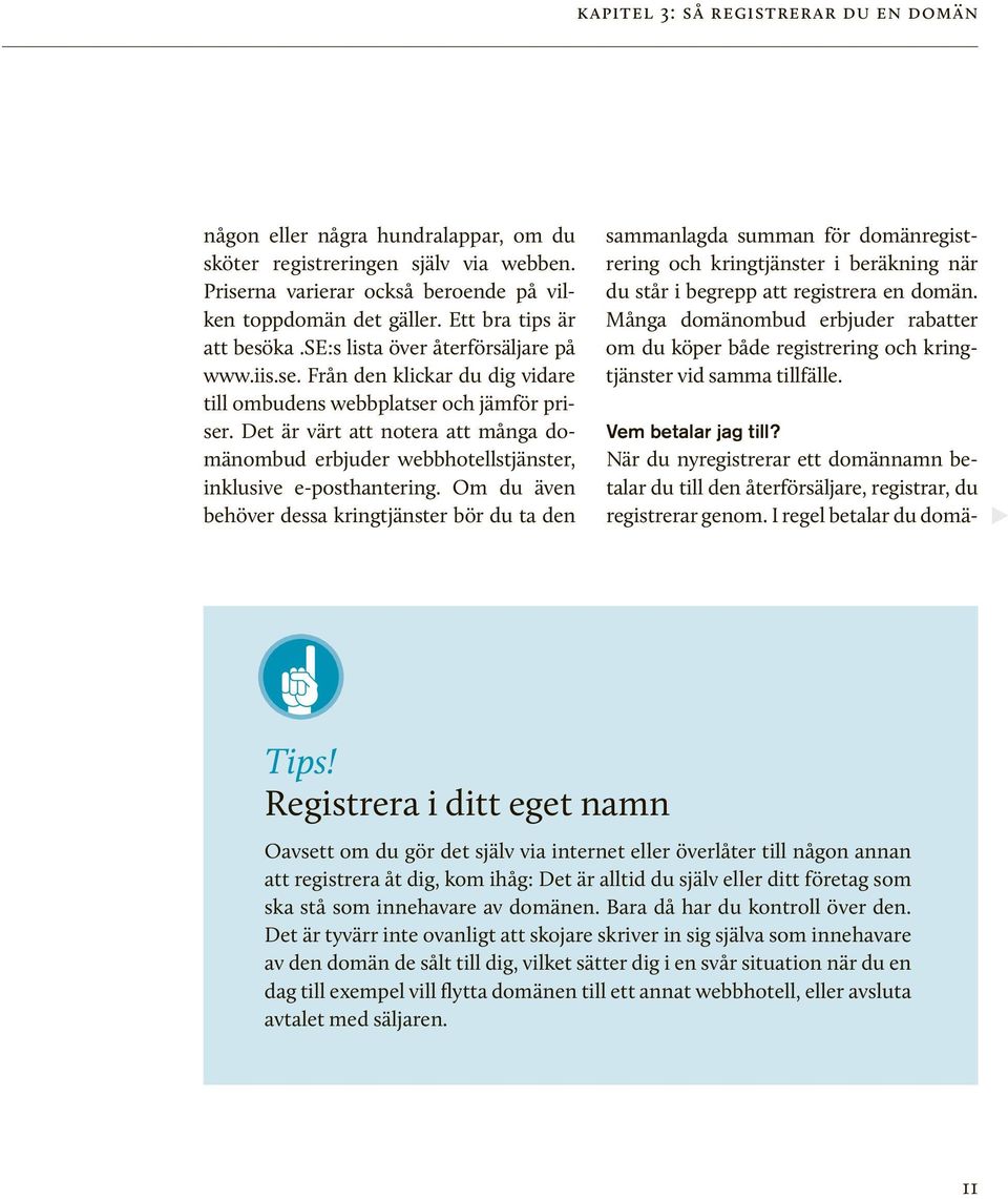 Det är värt att notera att många domänombud erbjuder webbhotellstjänster, inklusive e- posthantering.
