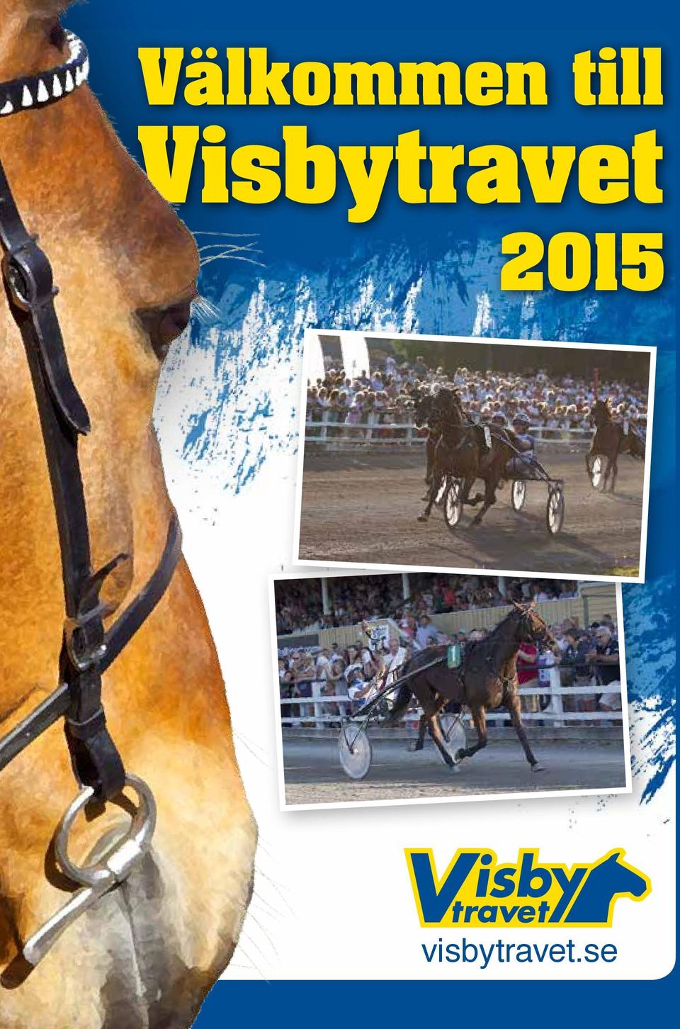 Visbytravet