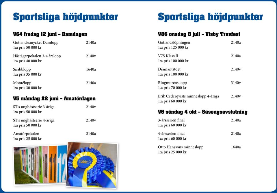 1:a pris 30 000 kr Ringmurens lopp 1.