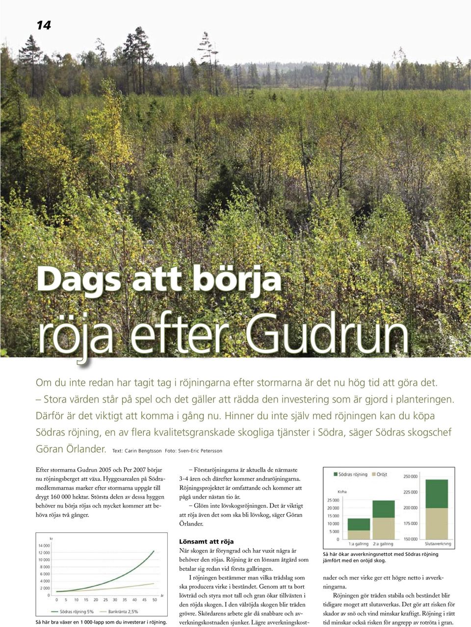 Hinner du inte själv med röjningen kan du köpa Södras röjning, en av flera kvalitetsgranskade skogliga tjänster i Södra, säger Södras skogschef Göran Örlander.