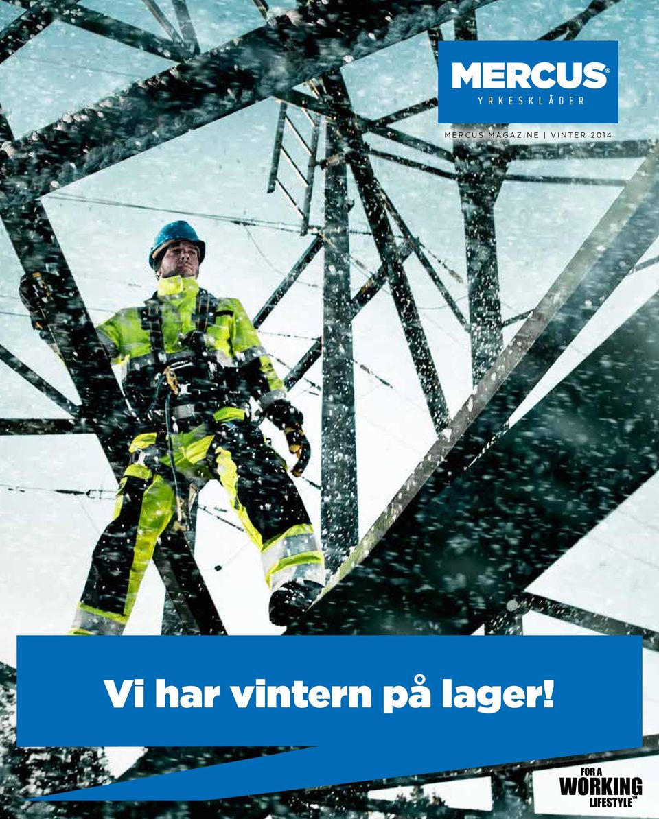 vinter 2014