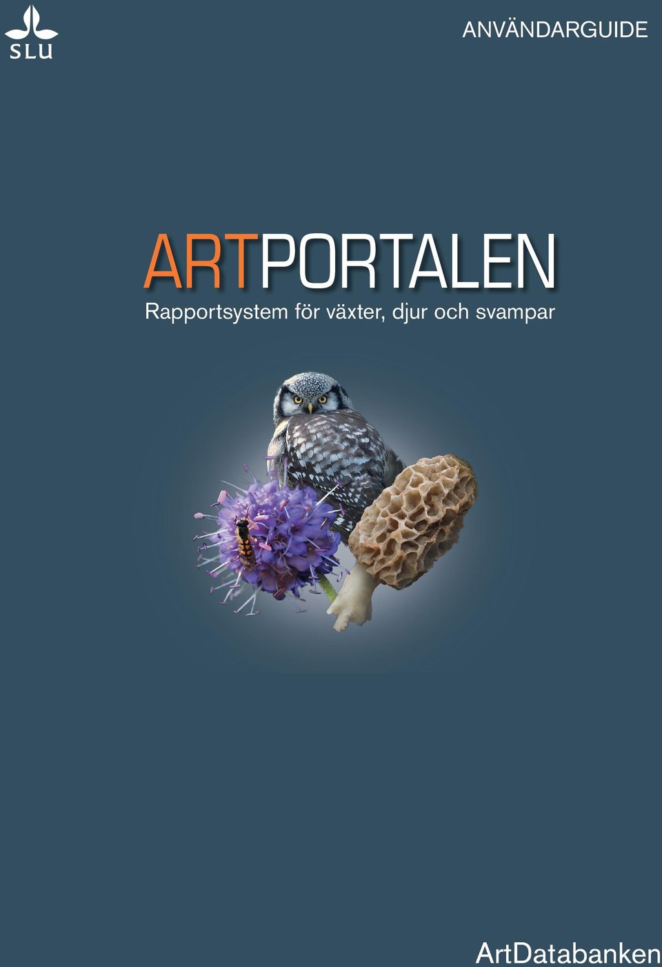 Rapportsystem