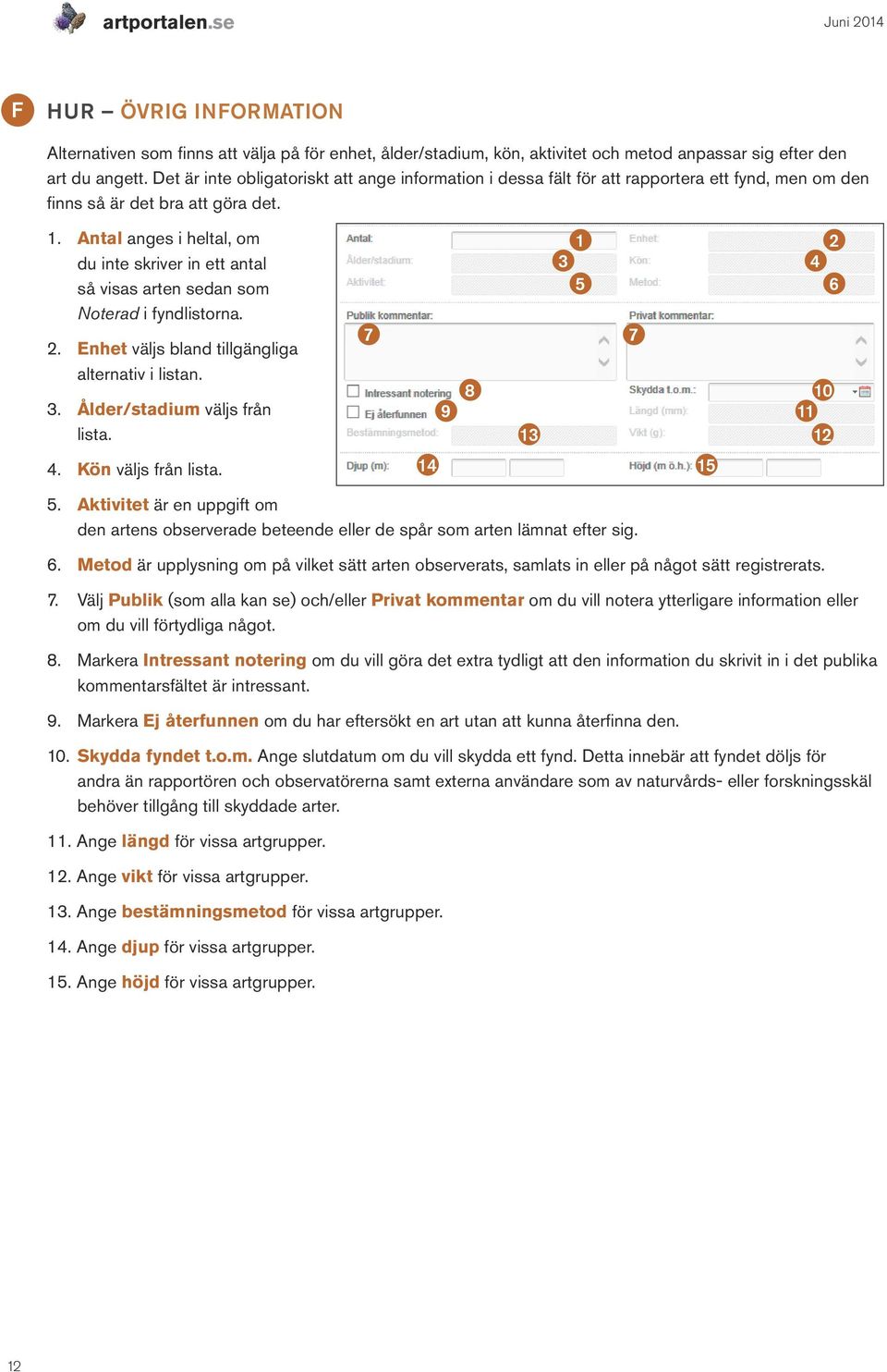 . Antal anges i heltal, om du inte skriver in ett antal så visas arten sedan som Noterad i fyndlistorna.. Enhet väljs bland tillgängliga alternativ i listan.. Ålder/stadium väljs från lista.