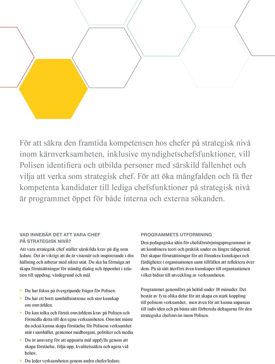 För att öka mångfalden och få fler kompetenta kandidater till lediga chefsfunktioner på strategisk nivå är programmet öppet för både interna och externa sökanden.