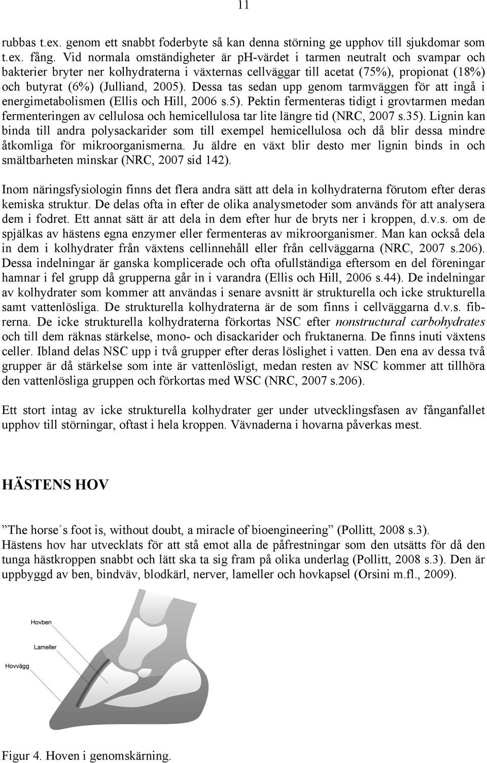 2005). Dessa tas sedan upp genom tarmväggen för att ingå i energimetabolismen (Ellis och Hill, 2006 s.5). Pektin fermenteras tidigt i grovtarmen medan fermenteringen av cellulosa och hemicellulosa tar lite längre tid (NRC, 2007 s.