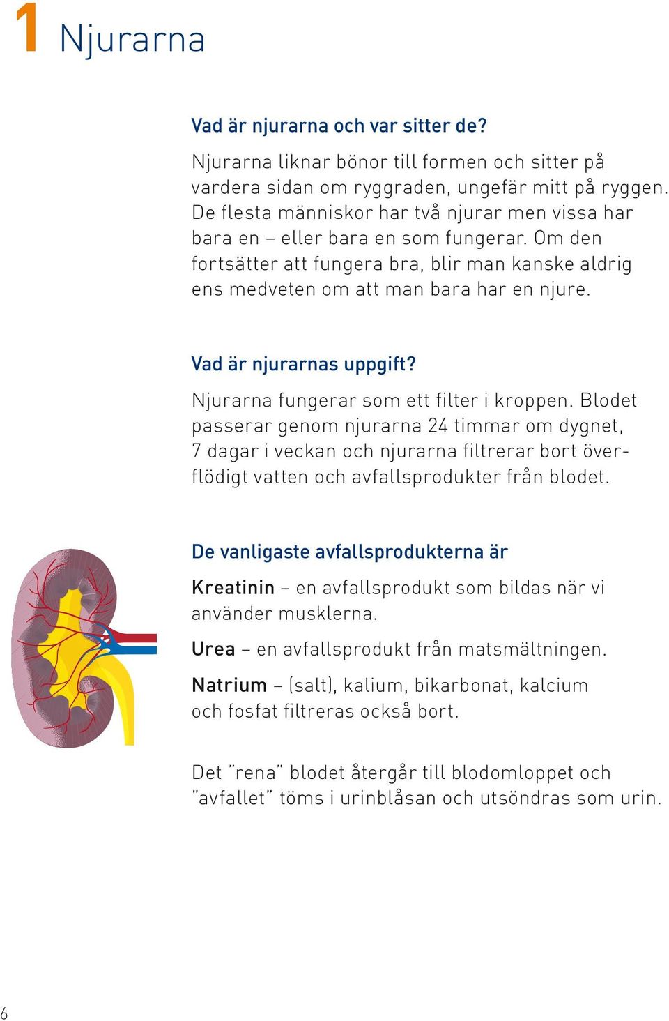 Vad är njurarnas uppgift? Njurarna fungerar som ett filter i kroppen.