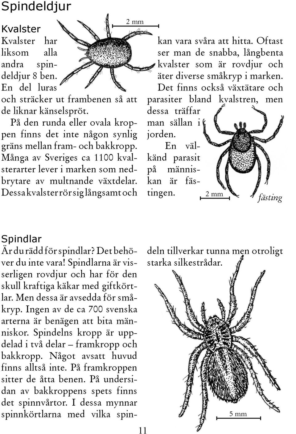 Dessa kvalster rör sig långsamt och kan vara svåra att hitta. Oftast ser man de snabba, långbenta kvalster som är rovdjur och äter diverse småkryp i marken.
